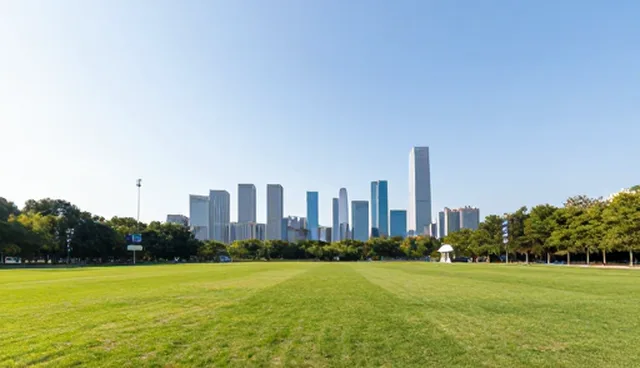 企业管理咨询如何通过流程优化提升效率